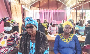Mayo-Kebbi Ouest : Les femmes leaders de Pala à l’école du plaidoyer