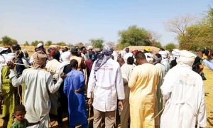 Mayo-Kebbi Est : Le Ministre de l'Élevage supervise la campagne de vaccination à Medegué