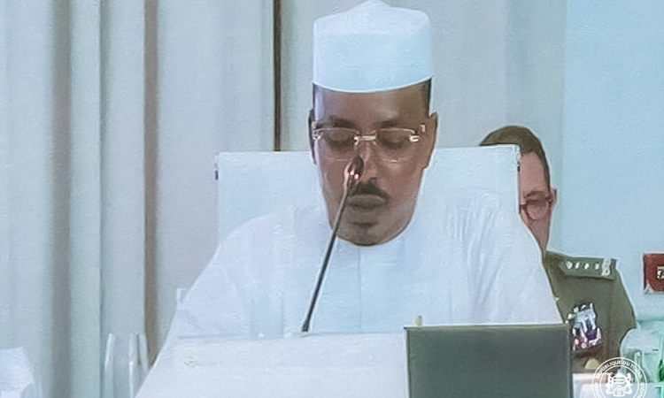PND : « Tchad Connexion 2030 », une arme contre le terrorisme
