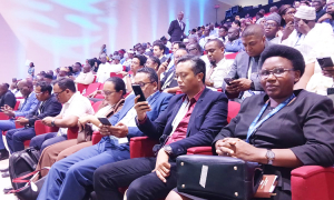 Deuxième jour du Forum africain de l’eau à N’Djaména