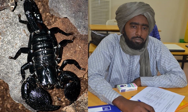 Piqûre de scorpion au Nord : problème de santé publique