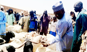 Santé animale : Le Ministre de l'Élevage en mission de sensibilisation à Djoumane