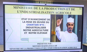 Tchad : Le Premier Ministre préside une séance de travail dédiée au suivi des chantiers agricoles