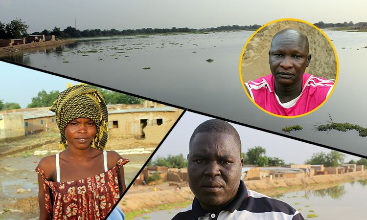 Les eaux de Logone et Chari débordent sur Walia Ngoumna