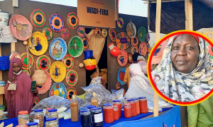Festival Dary : place à la province de Wadi-Fira