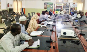 Hygiène dans les aires d'abattage : Le Ministère de l'Élevage et la Mairie de N'Djaména valident le protocole d'action