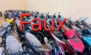 Les Douanes démentent organiser une vente aux enchères