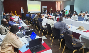 Tchad : Le Tchad et les Nations-Unies renforcent leur coopération
