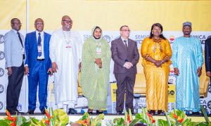 Semica-Tchad, clap de fin