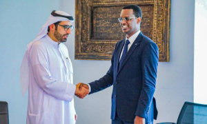 M. Teguil parle du PND au sommet Émirats arabes unis-Afrique