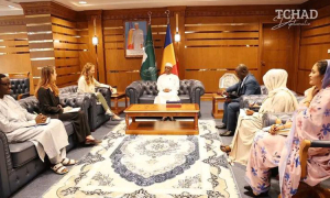 Diplomatie : Le ministre Sabre reçoit l'Ambassadeur du Royaume-Uni au Tchad