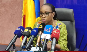 PND « Connexion Tchad 2030 » : L’AAZES entre en scène