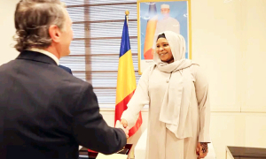 Coopération : la Ministre Déléguée auprès du Ministère des Affaires Étrangères reçoit une délégation du Congrès américain